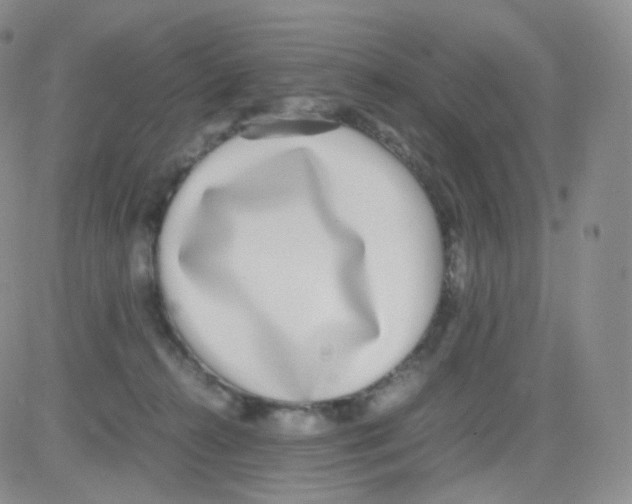 X0000082700272200702232238