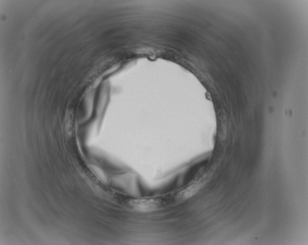 X0000082700273200702232238