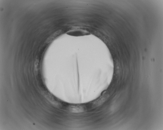 X0000082700275200702232238