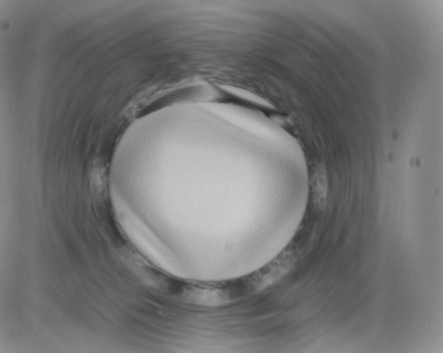 X0000082700276200702232238