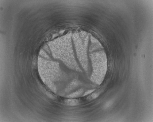 X0000082700277200702232238