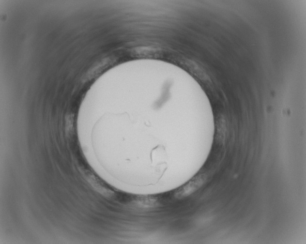 X0000082700278200702232238