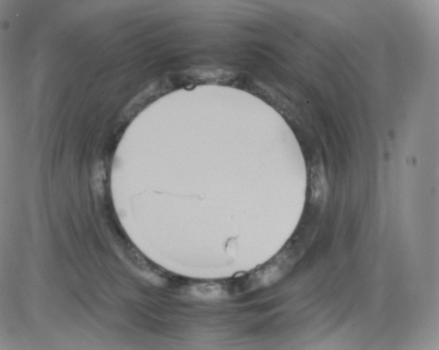 X0000082700279200702232238