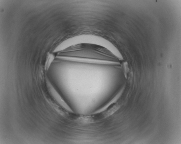 X0000082700280200702232238