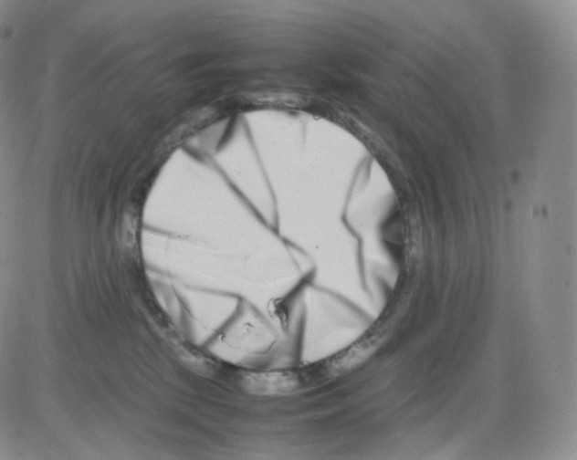 X0000082700281200702232238