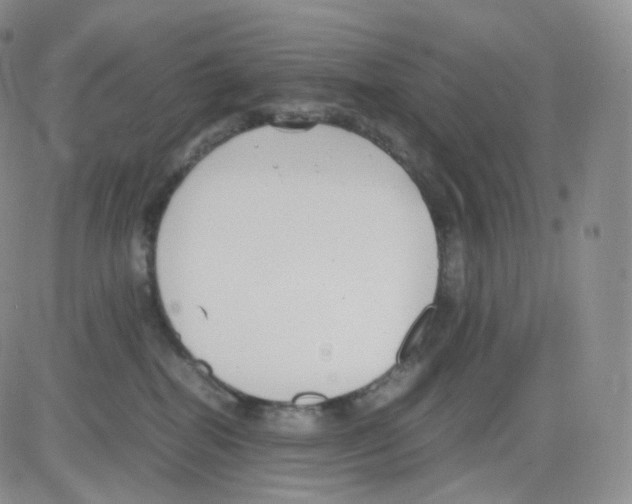 X0000082700282200702232238