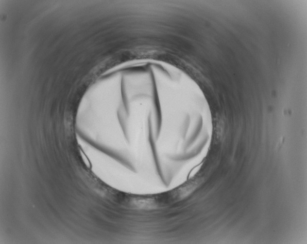 X0000082700283200702232238