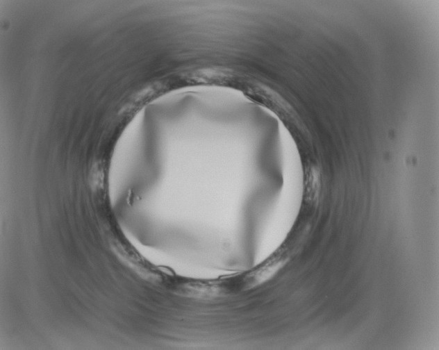 X0000082700284200702232238