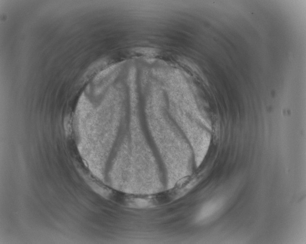 X0000082700285200702232238