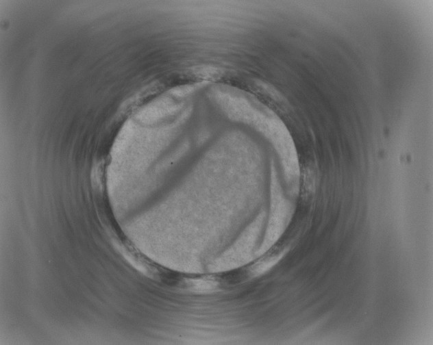 X0000082700286200702232238