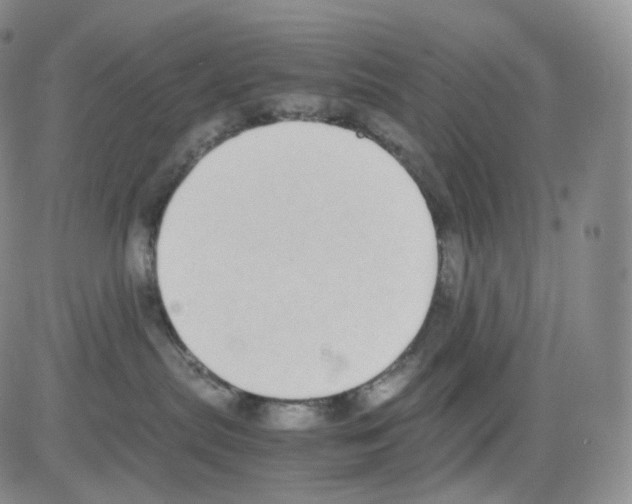 X0000082700287200702232238