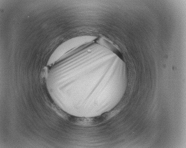 X0000082700288200702232238