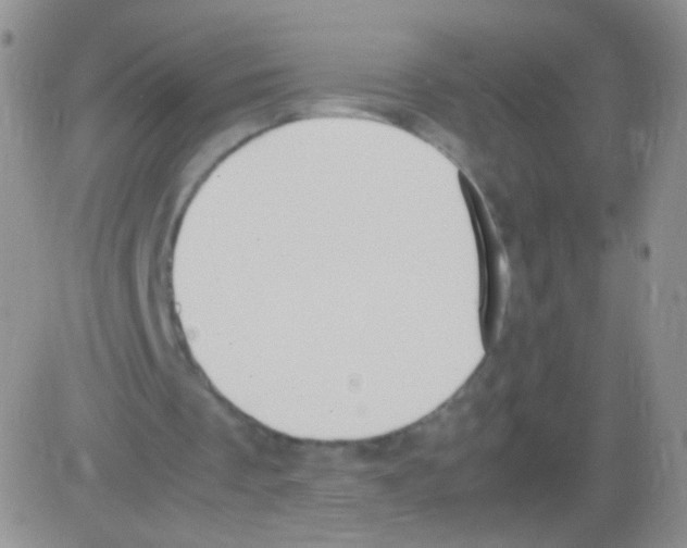 X0000082700289200702232237