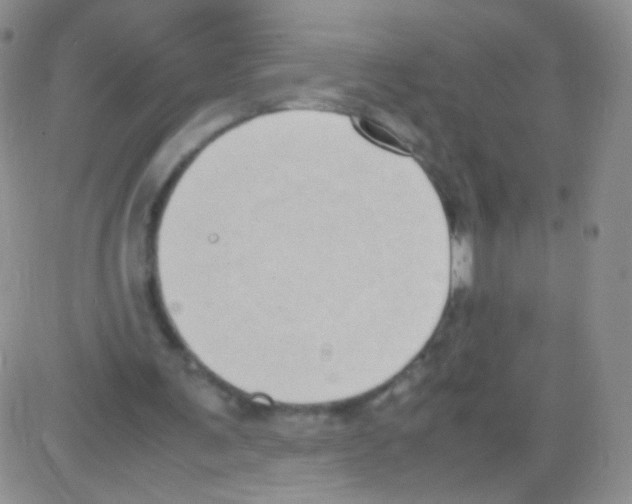 X0000082700291200702232237