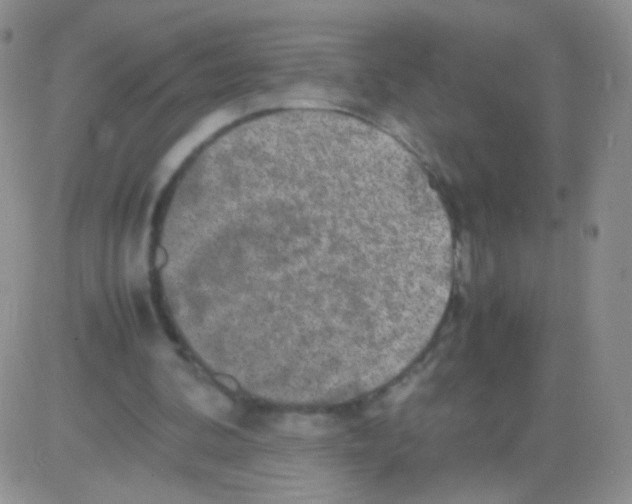 X0000082700292200702232237