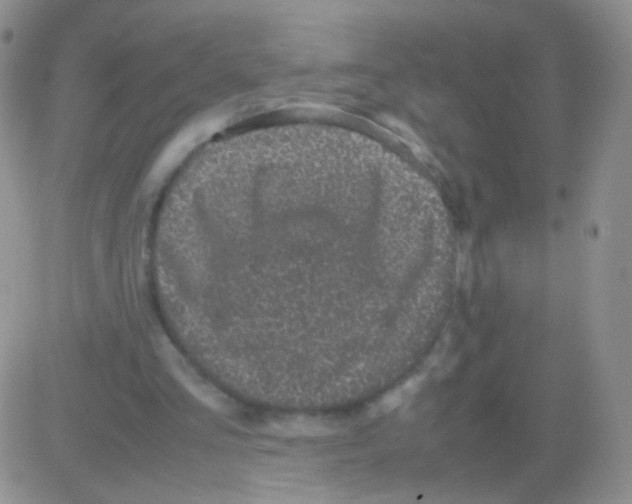 X0000082700293200702232237