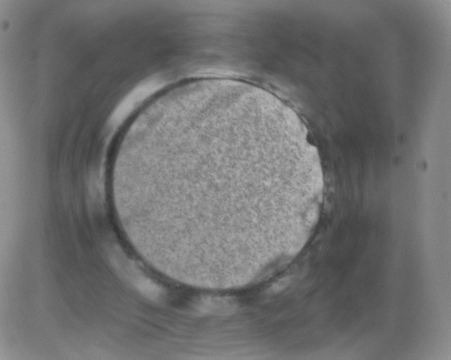 X0000082700296200702232237