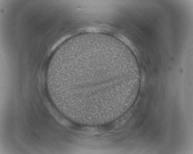 X0000082700297200702232237