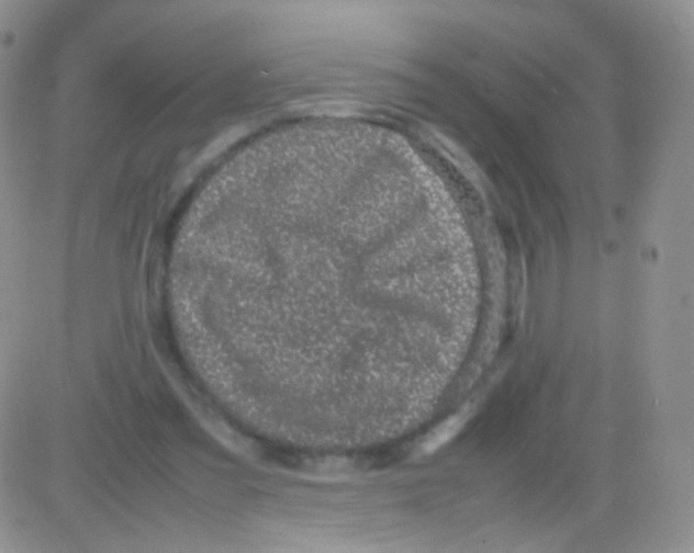 X0000082700301200702232237