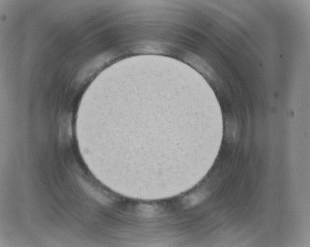 X0000082700302200702232237