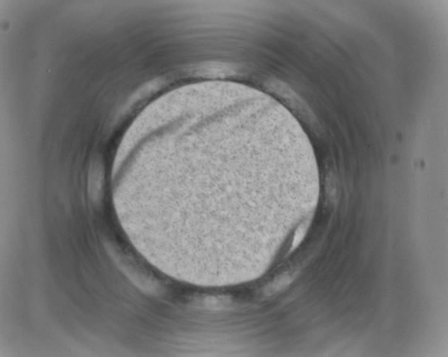 X0000082700304200702232237