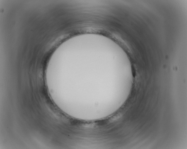 X0000082700306200702232237