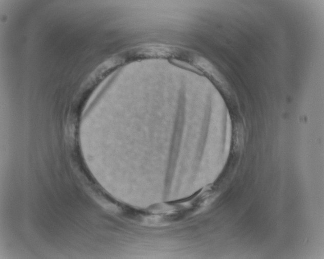 X0000082700309200702232237