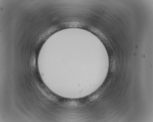 X0000082700310200702232237