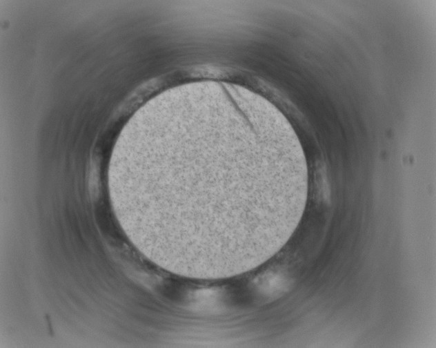 X0000082700312200702232237