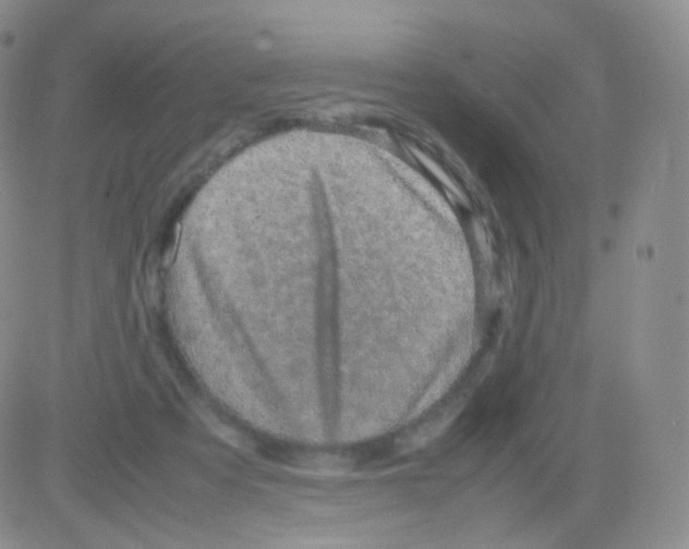 X0000082700313200702232237