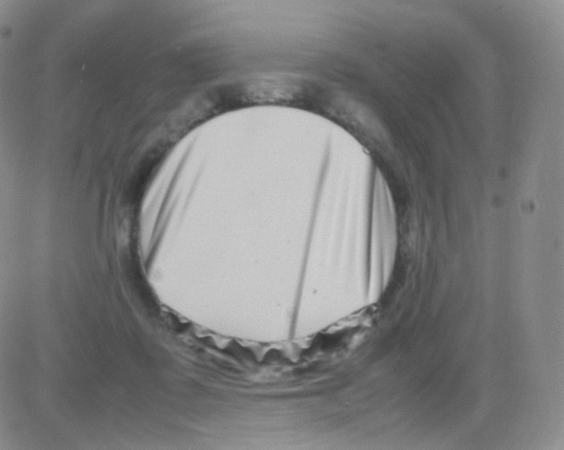 X0000082700315200702232237