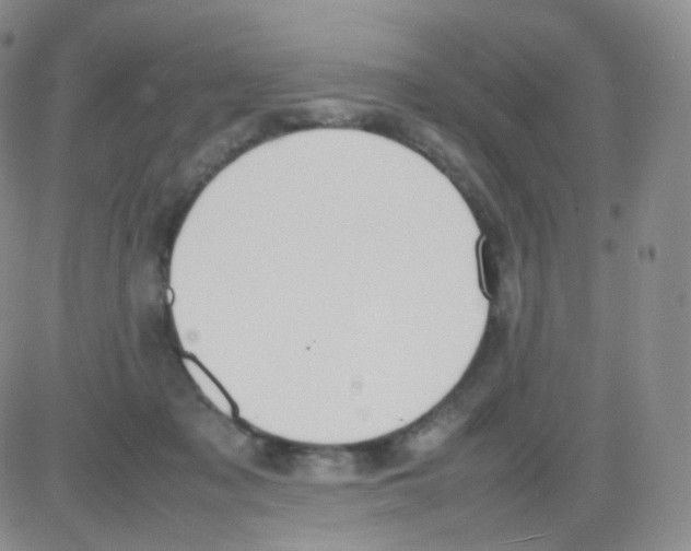 X0000082700317200702232237