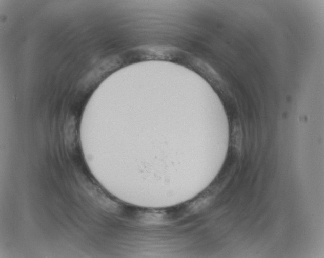 X0000082700318200702232237