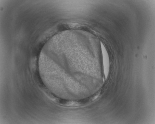 X0000082700319200702232237