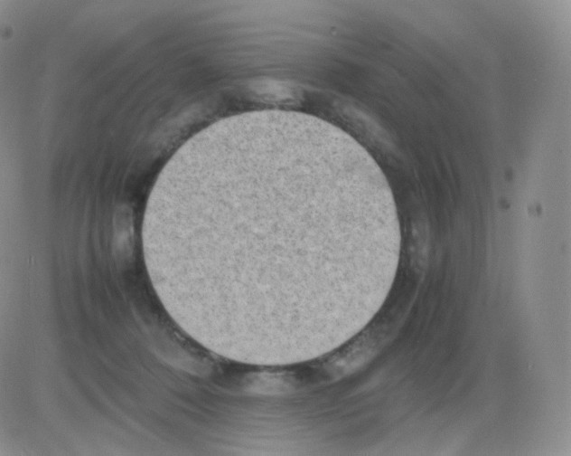 X0000082700320200702232237