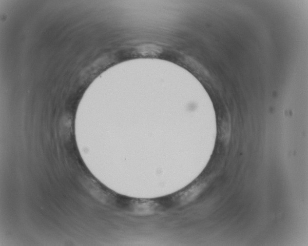 X0000082700321200702232237