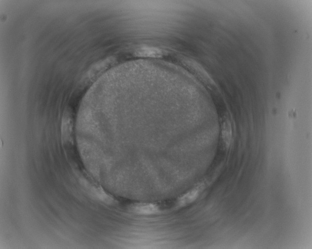 X0000082700322200702232237