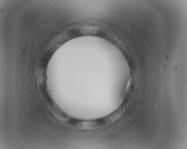 X0000082700323200702232237