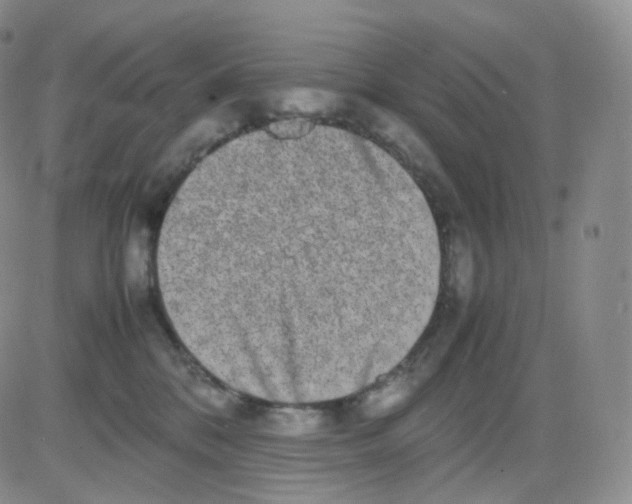 X0000082700328200702232237