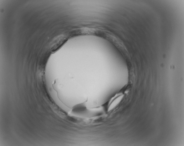 X0000082700329200702232237