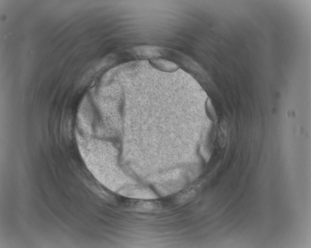 X0000082700330200702232237