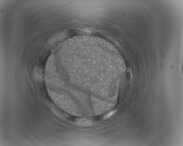 X0000082700331200702232237