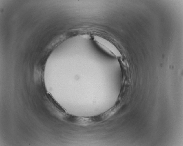 X0000082700333200702232237