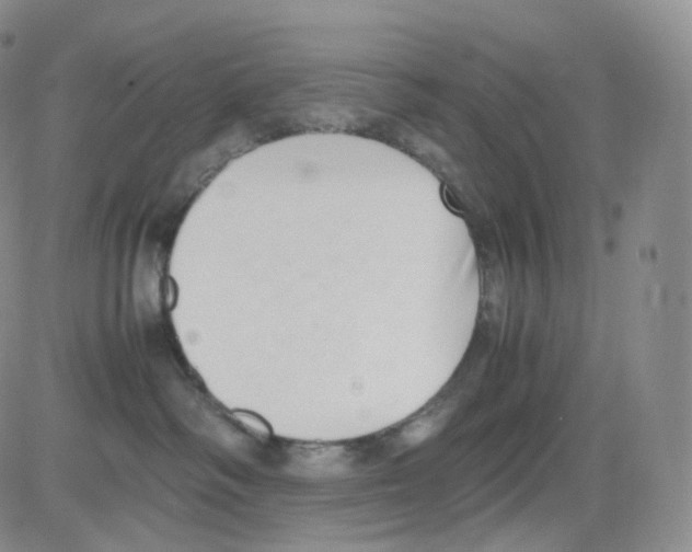 X0000082700334200702232236