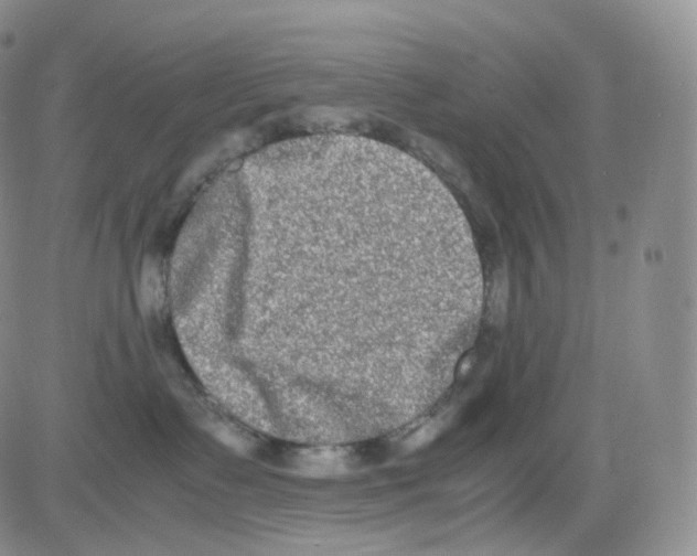 X0000082700335200702232236