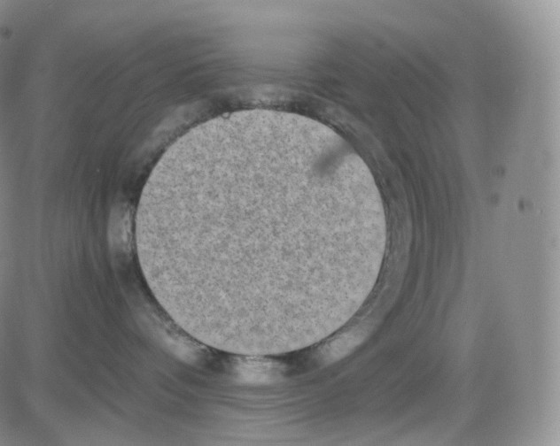 X0000082700336200702232236