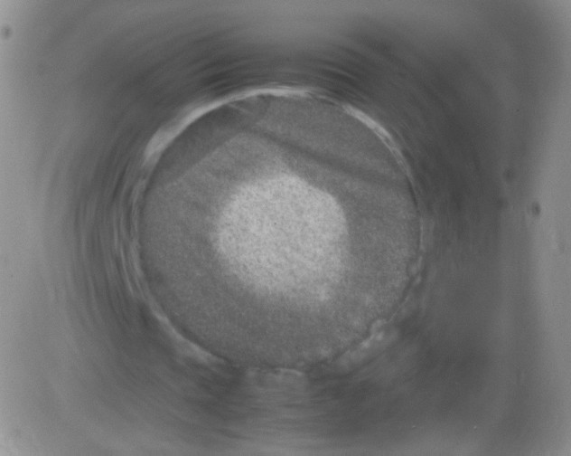 X0000082700337200702232236