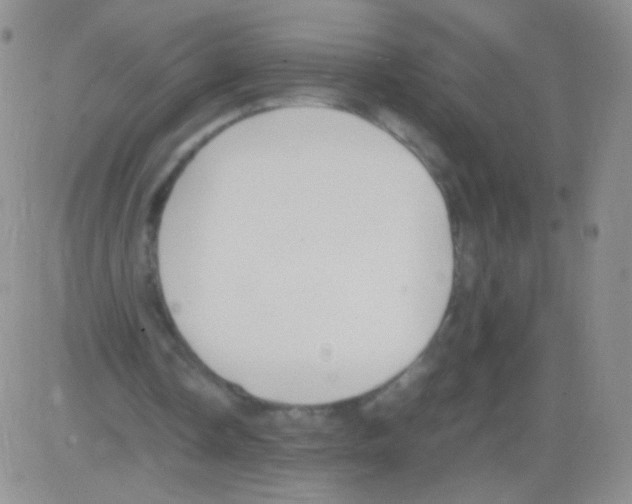 X0000082700338200702232236