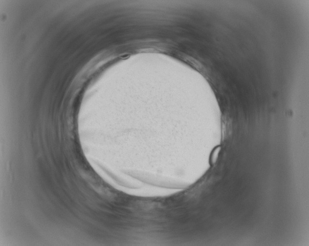 X0000082700339200702232236