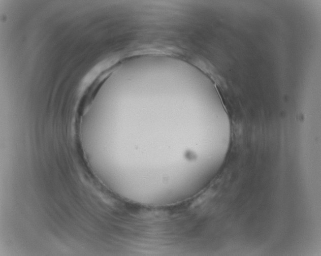 X0000082700340200702232236